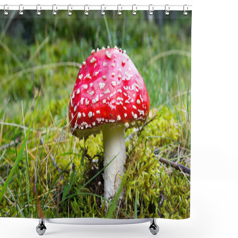 Personality  Fly Agaric Mushroom On Green Grass Shower Curtains