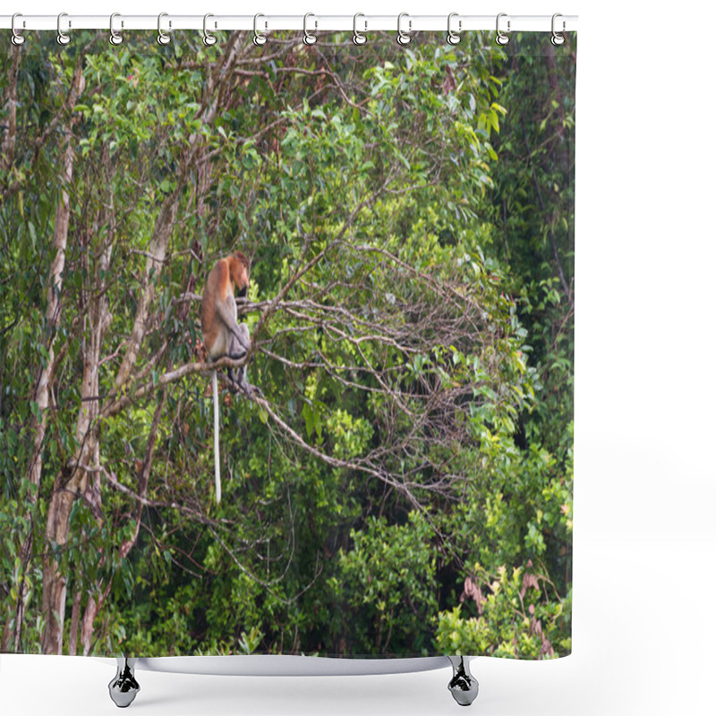 Personality  Proboscis Monkey In The Rainforest Of Borneo Shower Curtains