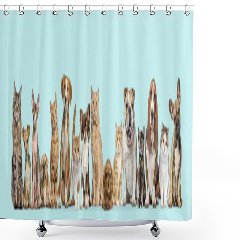 Personality  Group Of Cats And Dogs Sitting Together Isolated On Blue Background. Banner. Remastered Shower Curtains