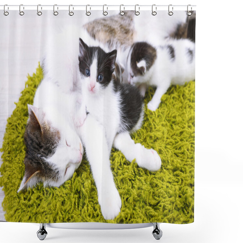 Personality  Cute Mother Cat And Little Kittens Shower Curtains