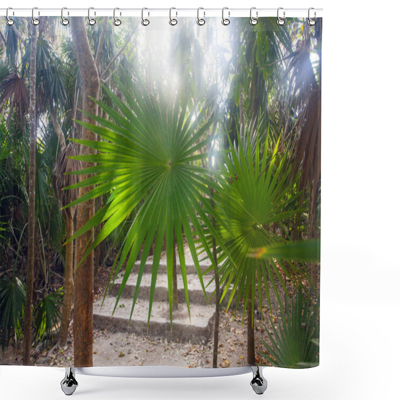 Personality  Early Morning In Park Near Tulum Ruins, Mexico Shower Curtains