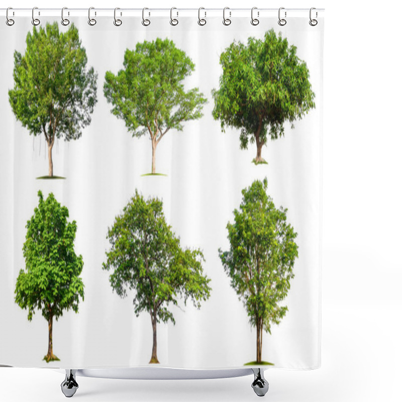 Personality  Collection Tree On White Background  Shower Curtains