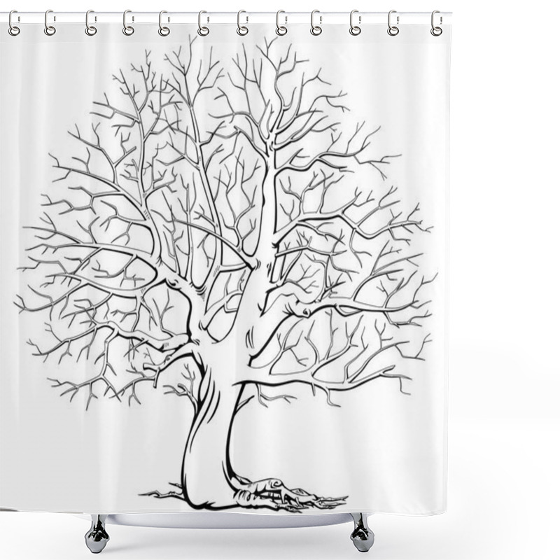 Personality  Monochrome Tree Without Leaves. Dry Wood. Black And White. Shower Curtains