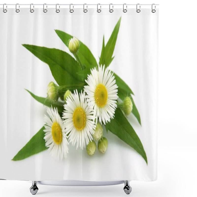 Personality  Wood Camomile Shower Curtains