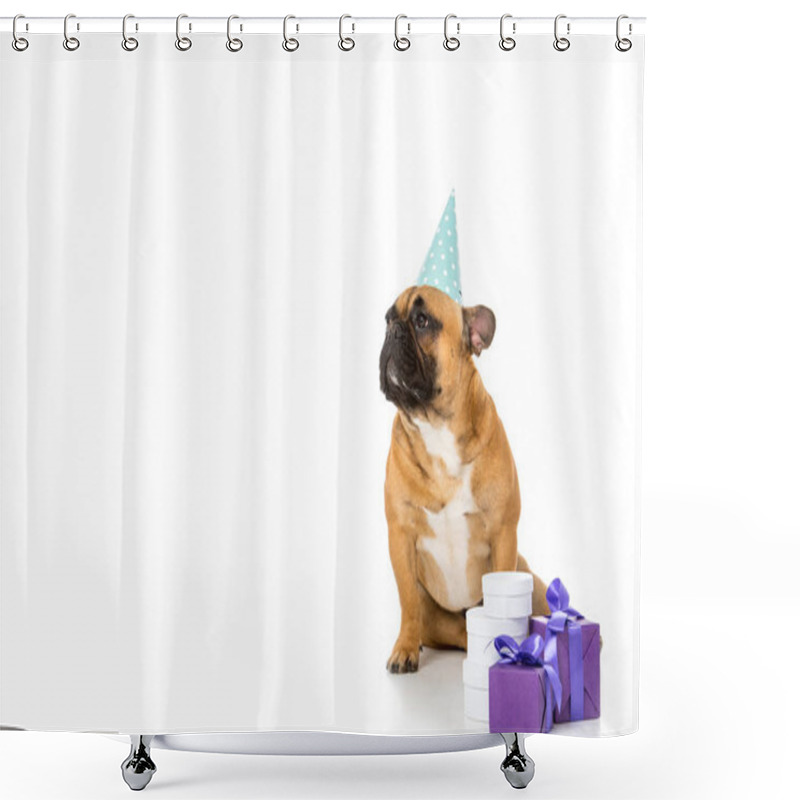 Personality  French Bulldog In Party Cone Sitting Near Wrapped Gifts Isolated On White Shower Curtains