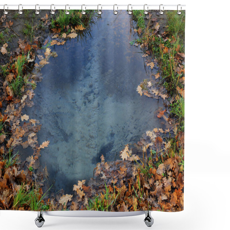 Personality  Autumn Oak Leaf On Pond Water In Forest Shower Curtains