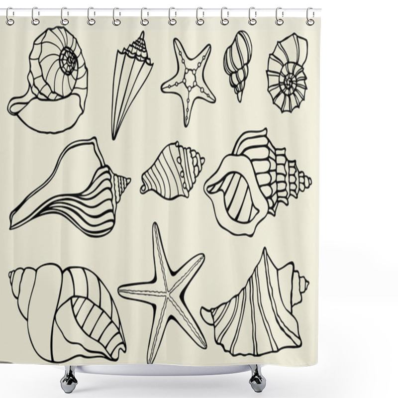 Personality  Collection Of Seashells Shower Curtains