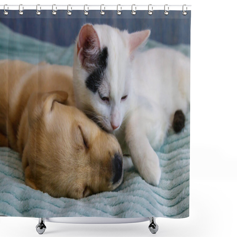 Personality  Small Cute Labrador Retriever Puppy Dog And Young Cat On A Bed. Friendship Of Pets Shower Curtains