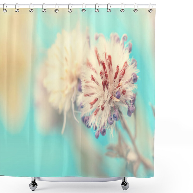 Personality  Autumnal Fluffy Aster's Bud Close Up Shower Curtains