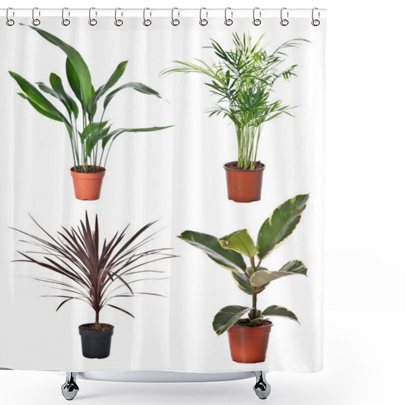 Personality  Set Of Indoor Plants Shower Curtains