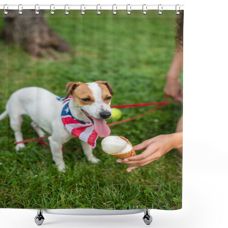 Personality  Cropped View Of Young Woman Holding Ice Cream Near Jack Russell Terrier Dog Shower Curtains