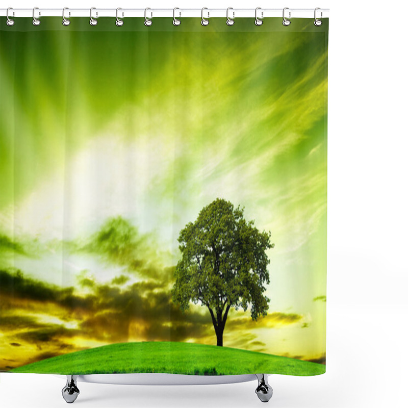 Personality  Oak Tree In Summer Shower Curtains