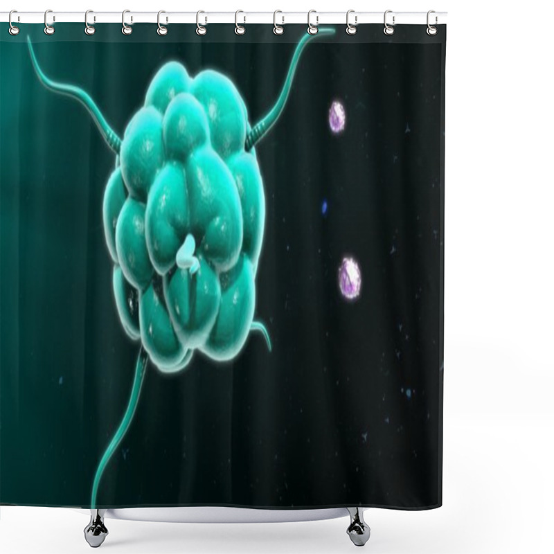 Personality  Macrophage Blood Cell Shower Curtains