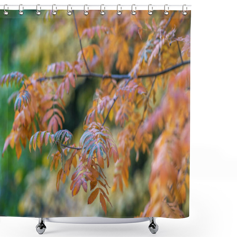 Personality  The Delicate Details Of Orange-tinged Leaves On A Branch, Set Against A Blurred Backdrop Of Autumnal Foliage, A Harmonious Dance Of Fall's Fiery Hues. Shower Curtains