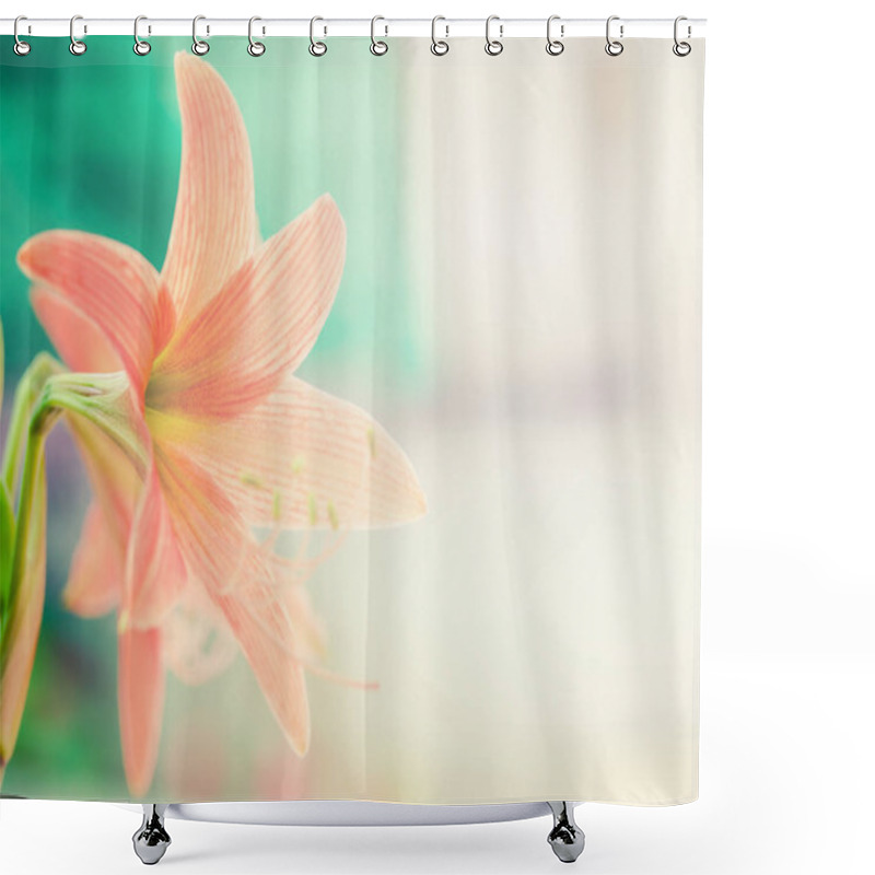 Personality  Orange Flower Background, Abstract Blurred Flower Background, Shower Curtains