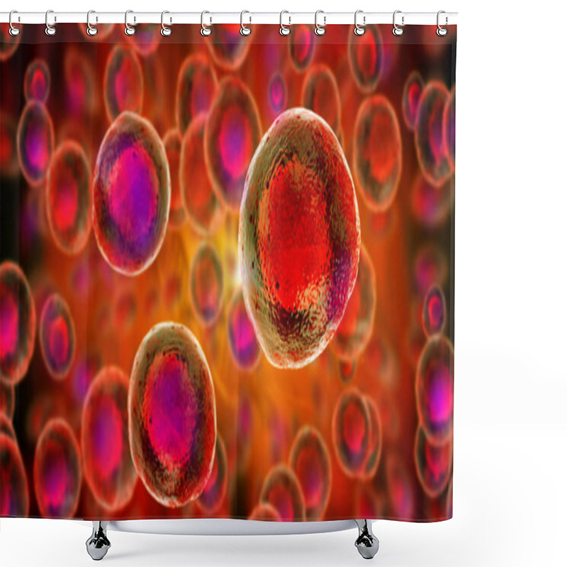 Personality  Embryonic Stem Cells , Cellular Therapy , Regeneration , Disease Treatment Shower Curtains