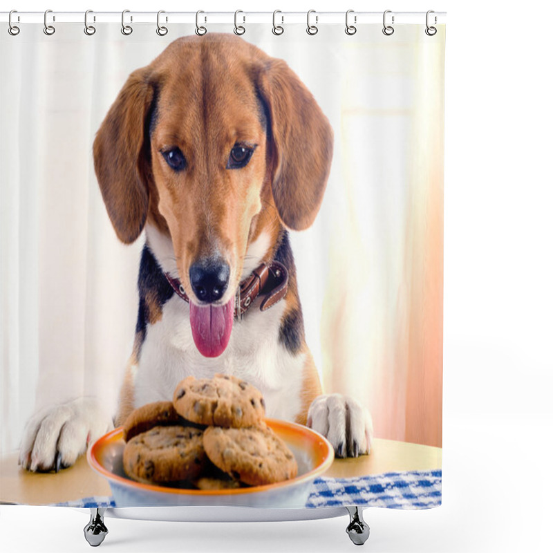 Personality  Beagle Puppy And Cookies Shower Curtains