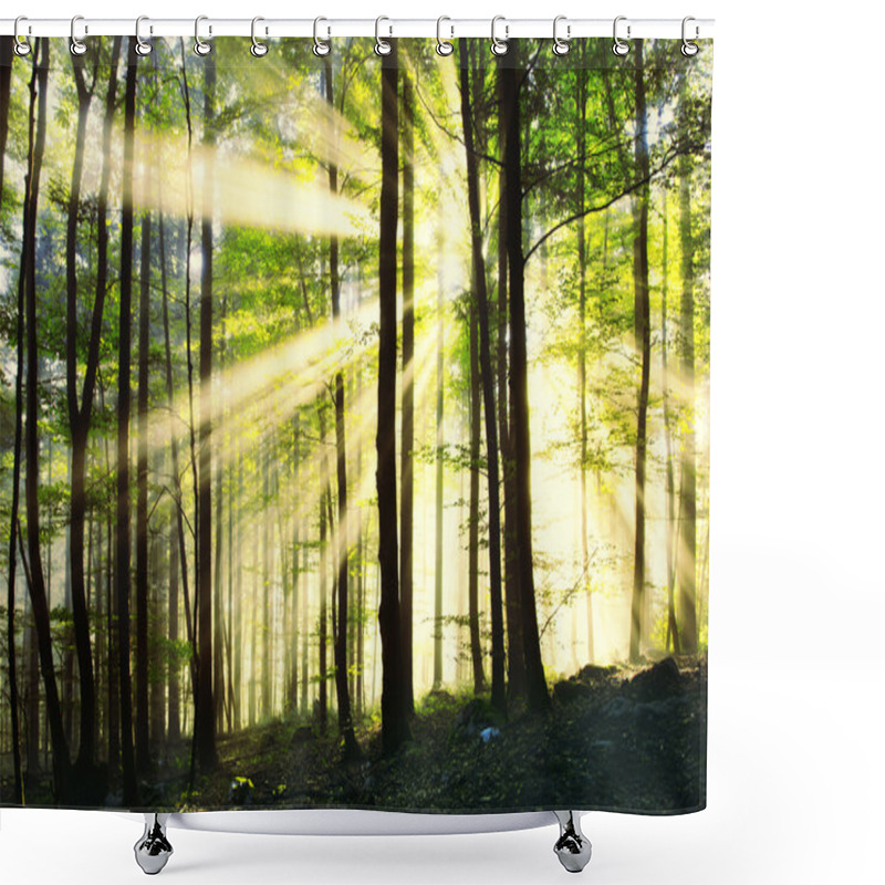 Personality  Magic Sunny Morning Forest Shower Curtains