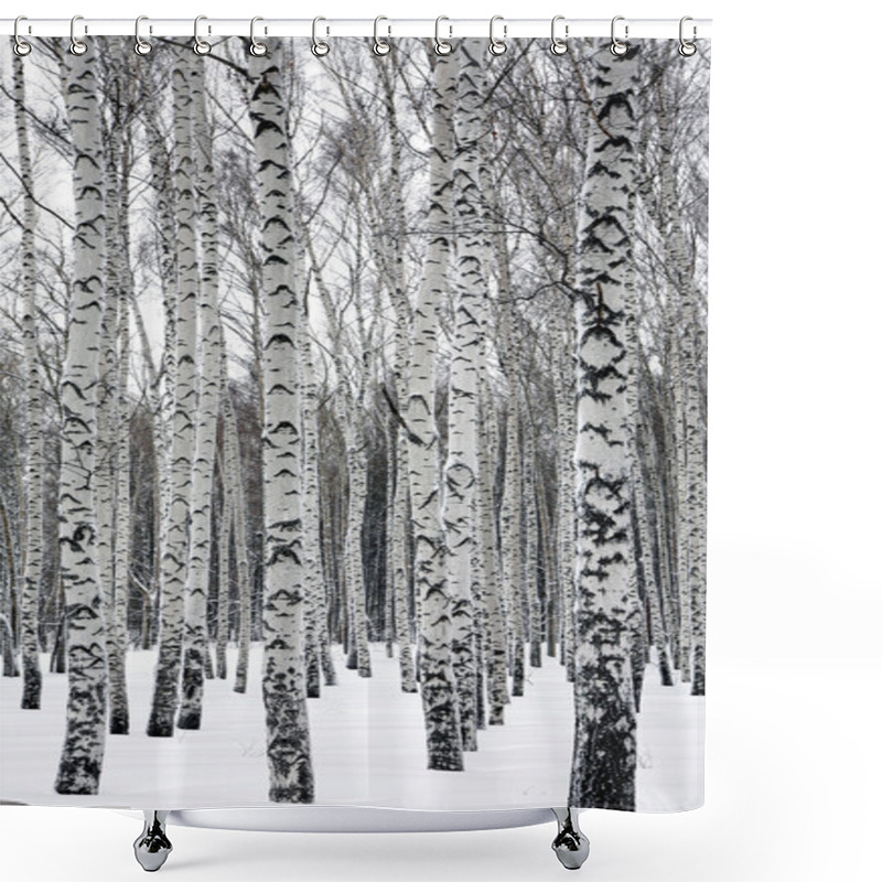 Personality  Birches In Winter Forest Shower Curtains