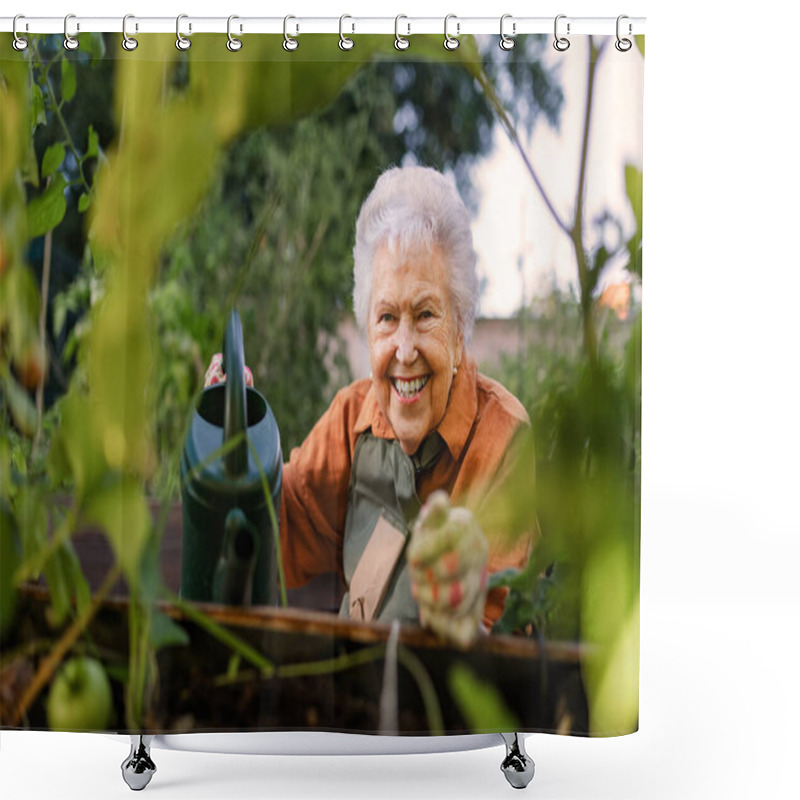 Personality  Close Up Of Senior Woman In Wheelchair Taking Care Of Zucchini Plant In Urban Garden. Elderly Woman Waterng Plants In Raised Beds In Community Garden In Her Apartment Complex. Shot From Above. Shower Curtains