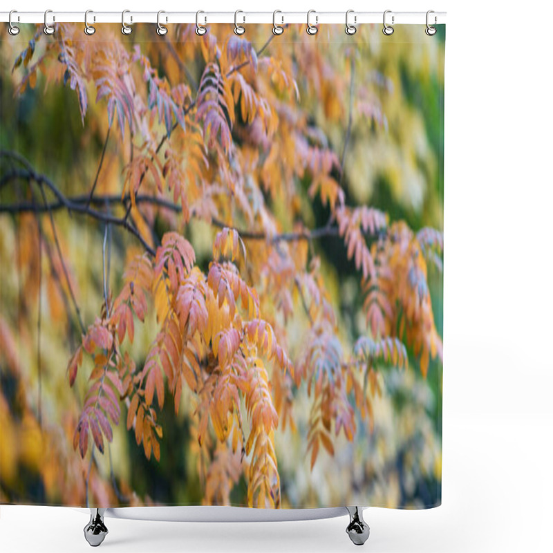 Personality  The Delicate Details Of Orange-tinged Leaves On A Branch, Set Against A Blurred Backdrop Of Autumnal Foliage, A Harmonious Dance Of Fall's Fiery Hues. Shower Curtains