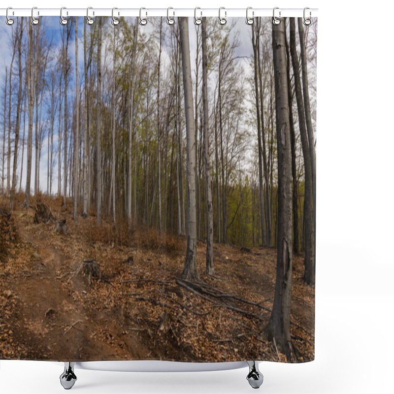 Personality  Dirty Path In Mountain Forest In Autumn  Shower Curtains