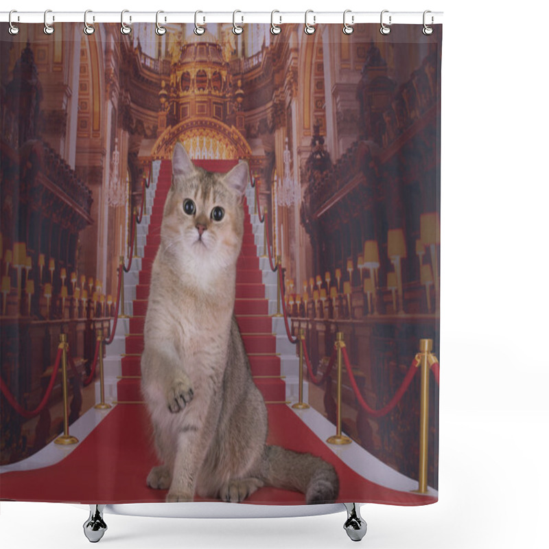 Personality  Golden British Cat On The Red Carpet Shower Curtains