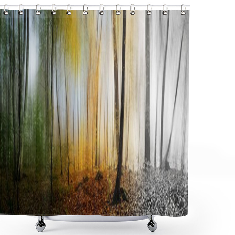 Personality  Beautiful Morning Scene In The Forest, Wood Panorama Changing Seasons Shower Curtains