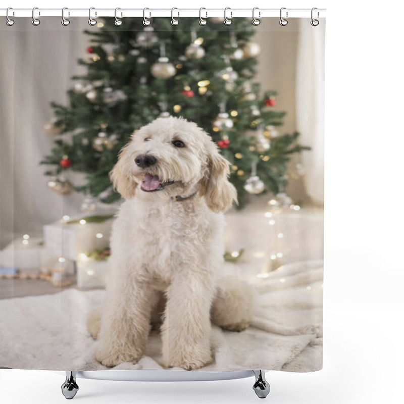 Personality  Smiling Dog Sitting In Front Of Christmas Tree Shower Curtains