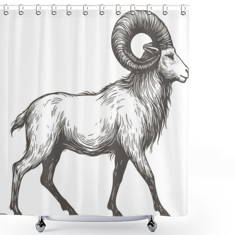 Personality  Detailed Illustration Of A Majestic Ram In Engraving Style Shower Curtains