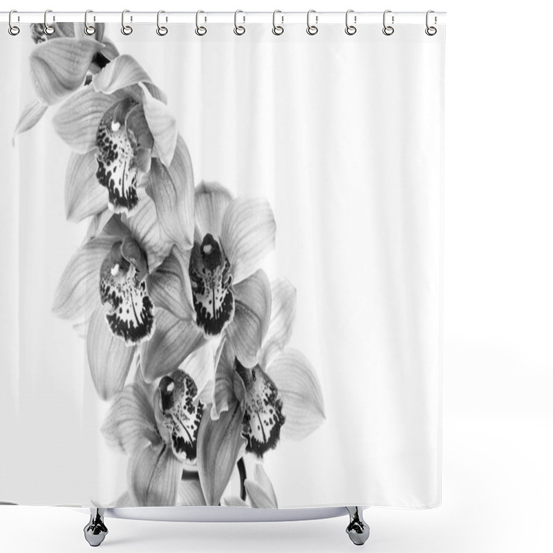 Personality  Orchid Flowers Isolated Shower Curtains