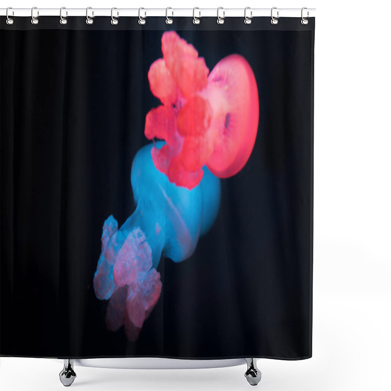 Personality  Blue Blubber Jellyfishes With Neon Lights On Black Background Shower Curtains