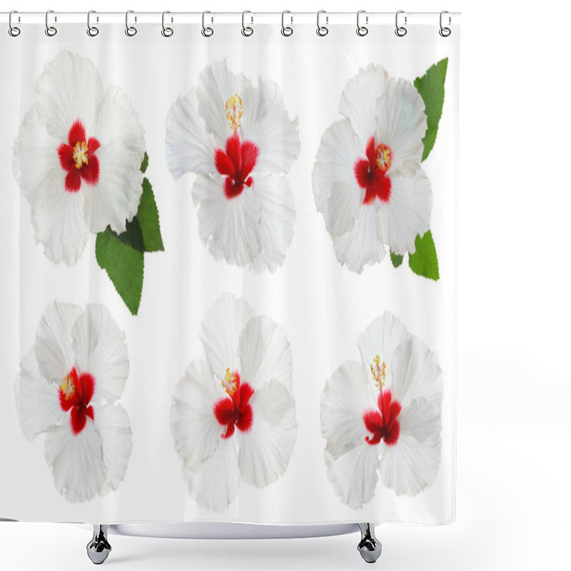 Personality  Beautiful Tropical Hibiscus Flower With Leaves Isolated On White Shower Curtains