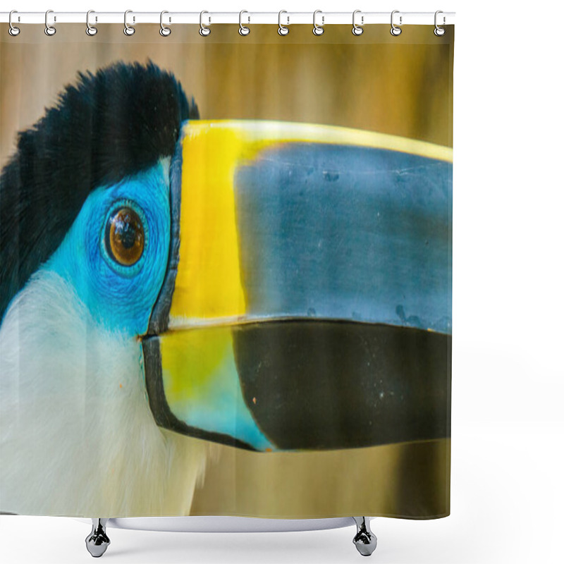 Personality  Portrait Of Blue And Yellow Toucan In The Ecuadorian Amazon Shower Curtains