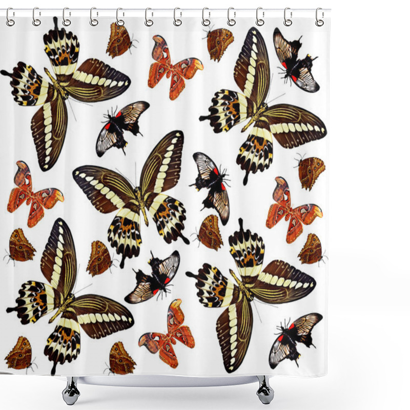 Personality  Butterflies Shower Curtains