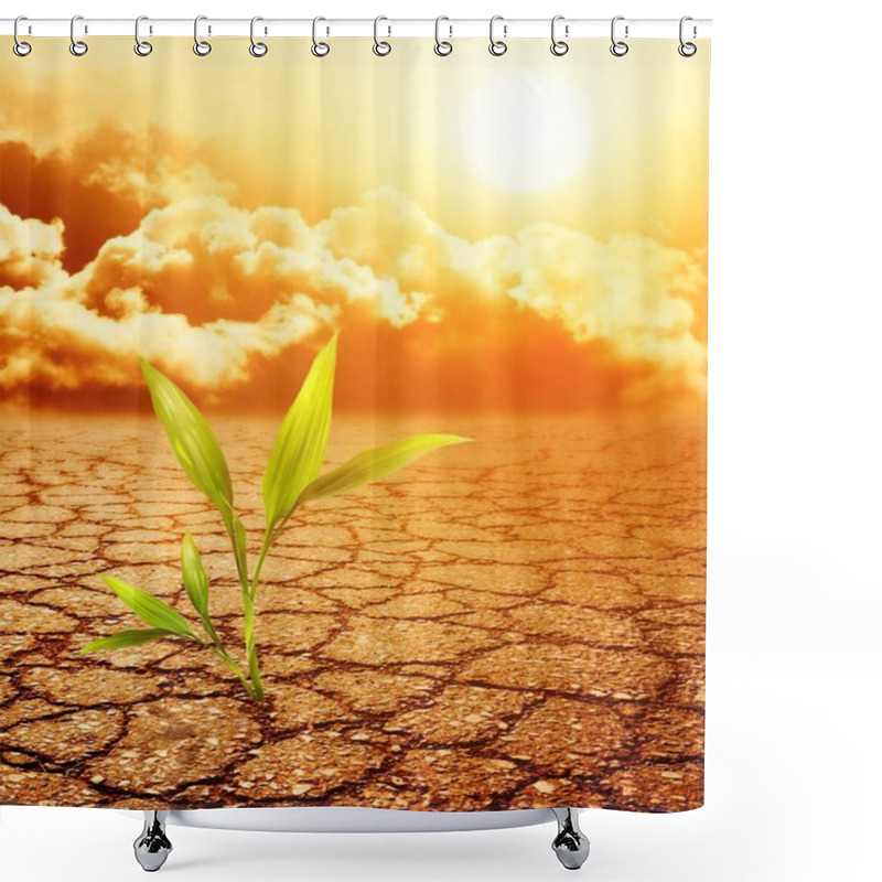 Personality  Green Plant Growing Trough Dead Soil Shower Curtains