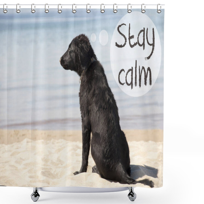 Personality  Dog At Sandy Beach, Text Stay Calm Shower Curtains