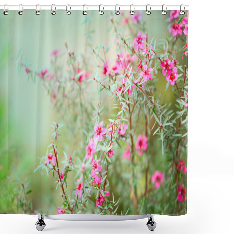 Personality  Background With Flowers - Blossoms (shallow Depth Of Field) Shower Curtains