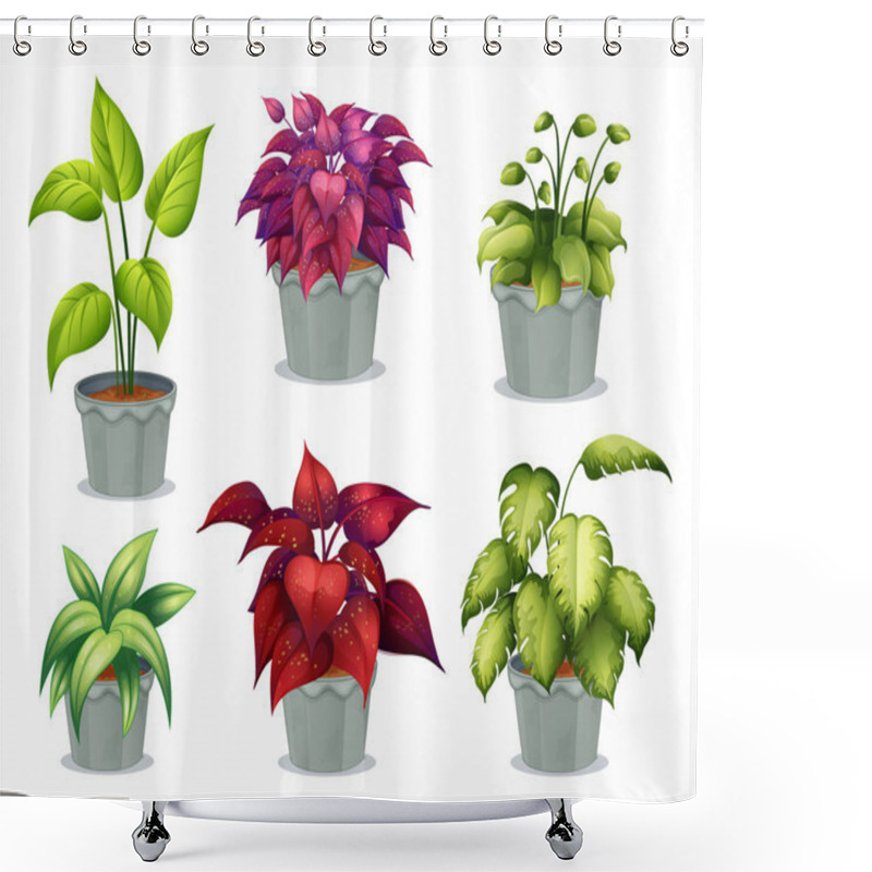 Personality  Six Non-flowering Plants Shower Curtains