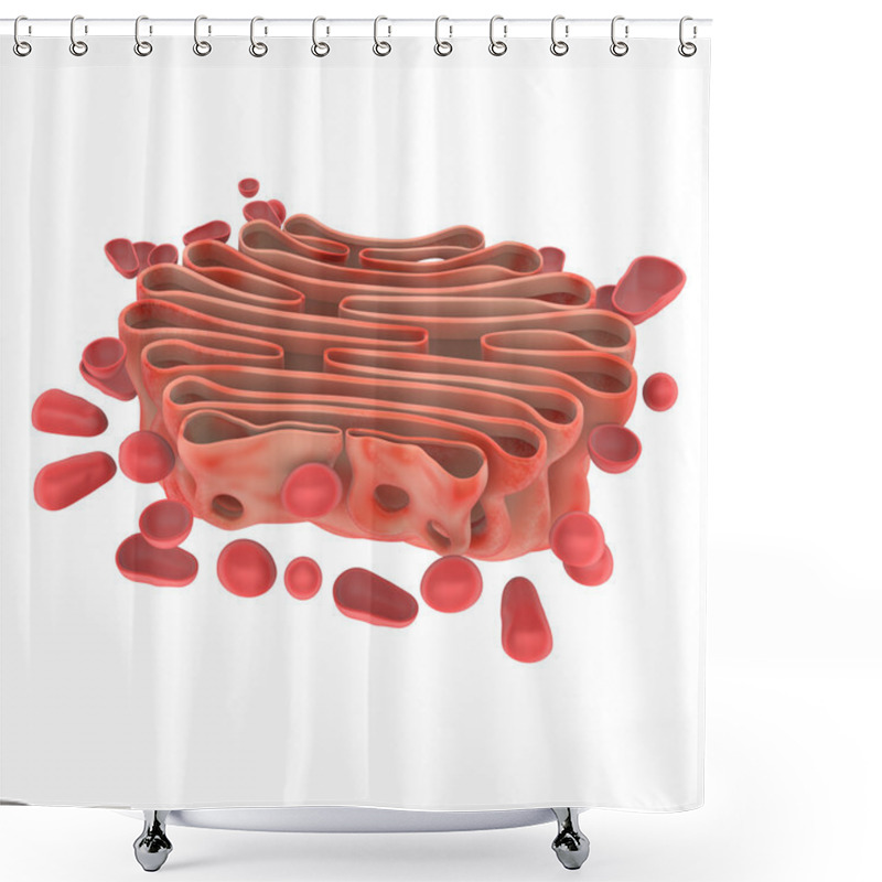 Personality  Golgi Apparatus Shower Curtains