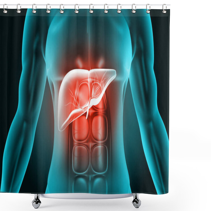 Personality  Human Body With Liver Anatomy. 3d Illustration	 Shower Curtains