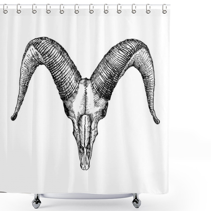 Personality  Goat Skull Sketch Shower Curtains