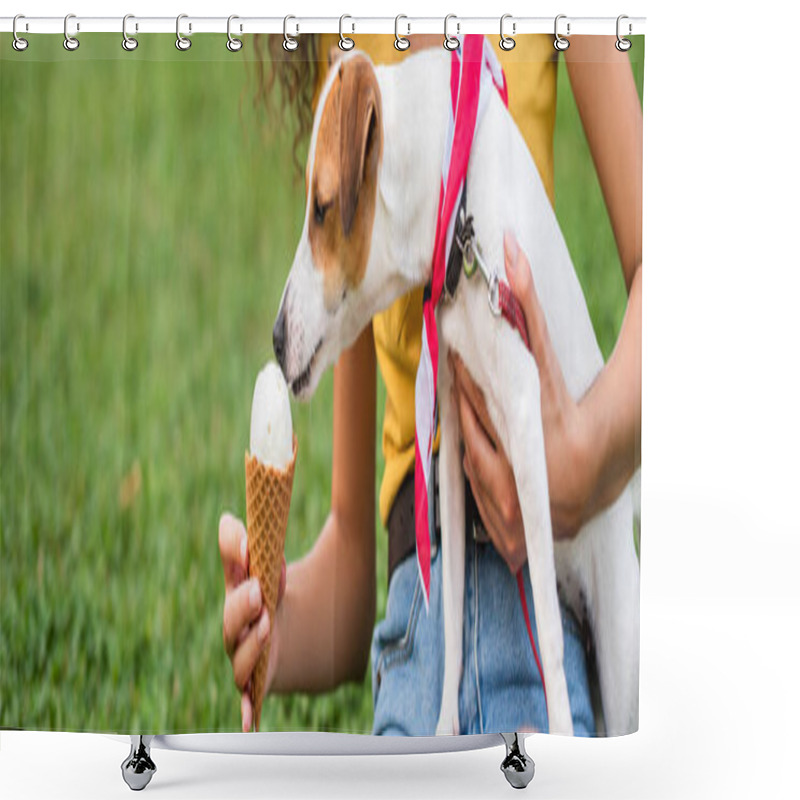 Personality  Cropped View Of Young Woman Feeding Jack Russell Terrier Dog Ice Cream Shower Curtains