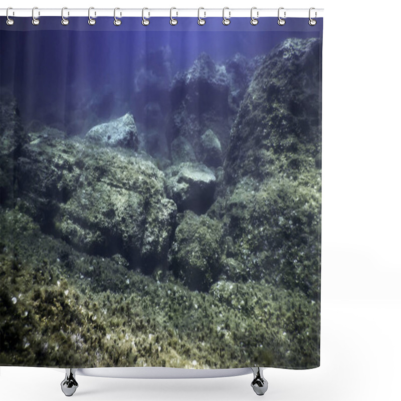 Personality  Rocks At Bottom Of Ocean Floor, Underwater Life Shower Curtains