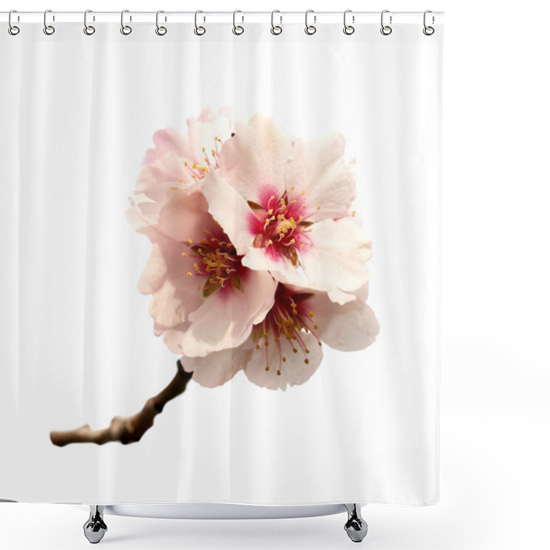 Personality  Almond Tree Pink Flowers Shower Curtains