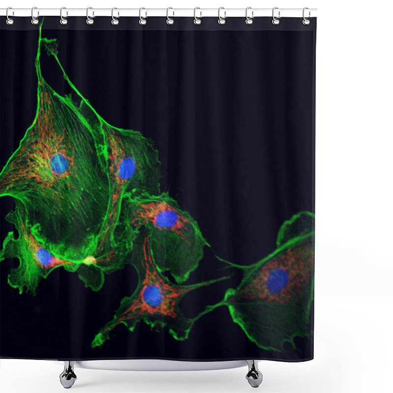 Personality  Cell Cytoskeleton Shower Curtains