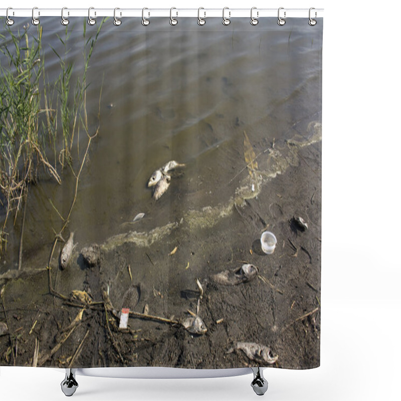 Personality  Debris On The Shore Of The Lake And The Dead Fish, The Pollution Shower Curtains