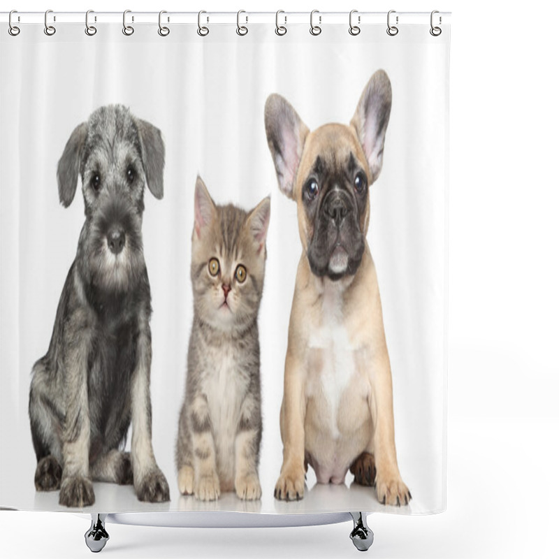 Personality  Kitten And Puppy Shower Curtains