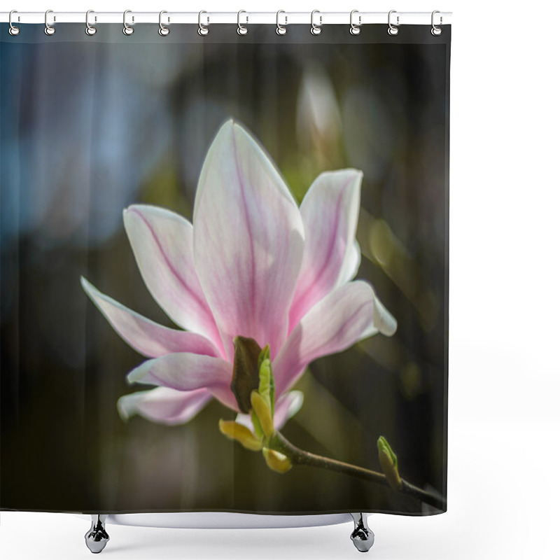 Personality  Magnolia Shower Curtains