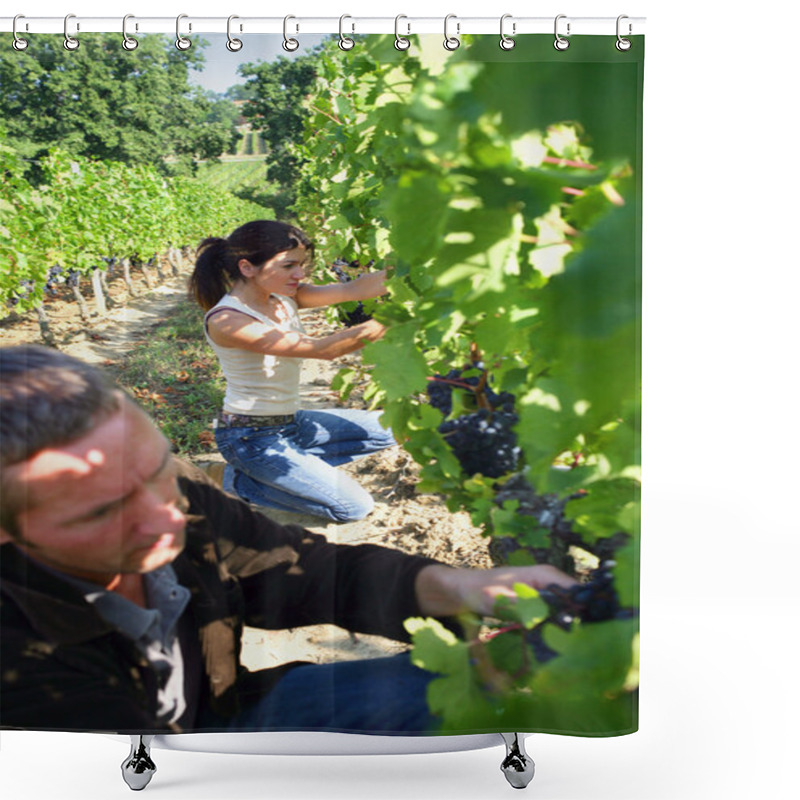 Personality  Man And Woman Working In A Vineyard Shower Curtains